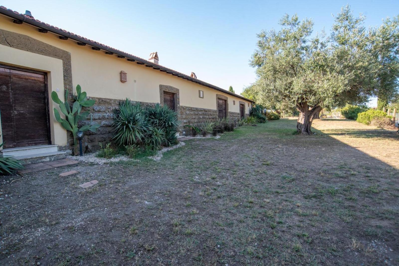 Agriturismo Cerrosughero Canino Exterior foto